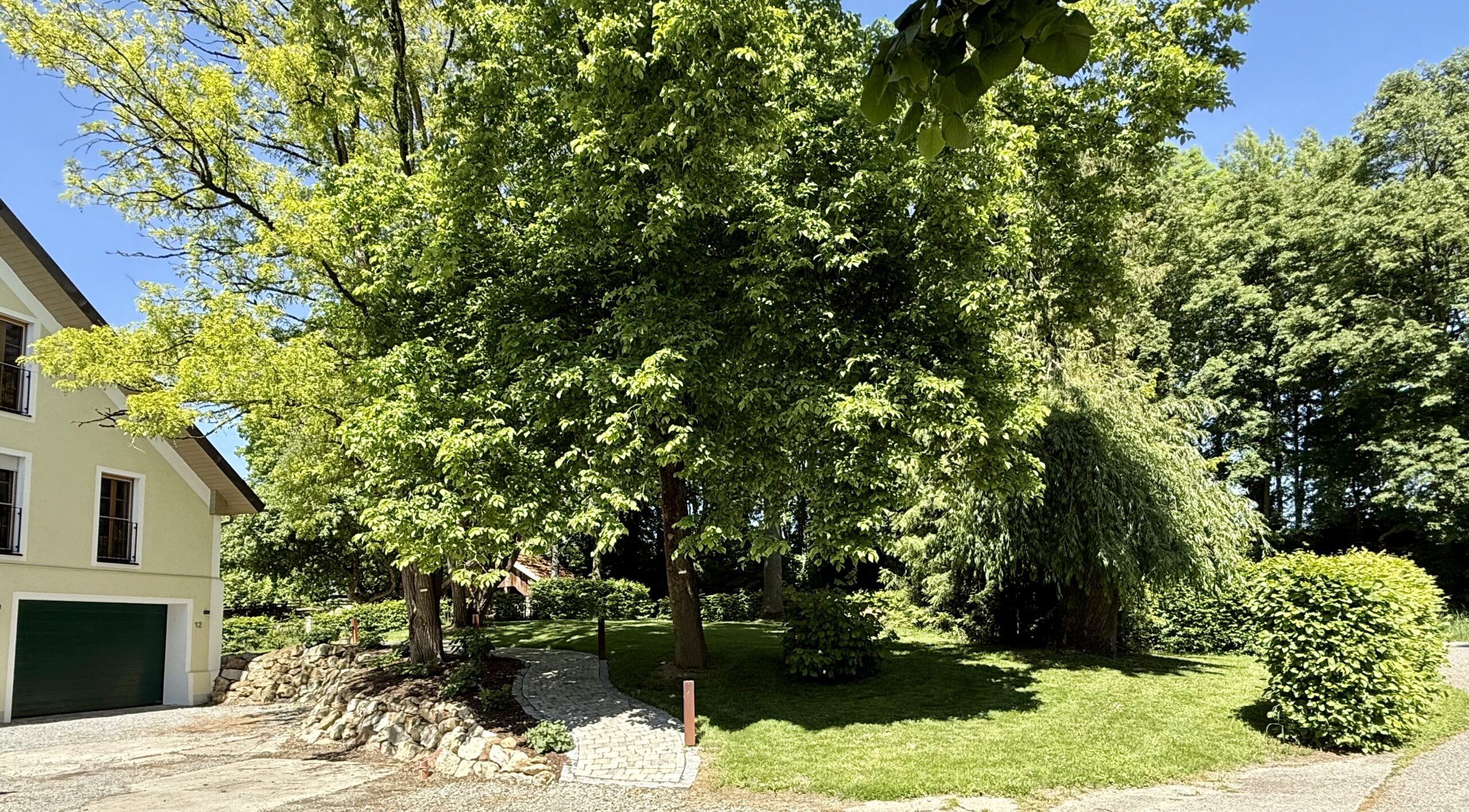 image00001